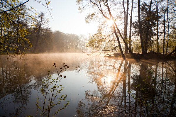 Bildergalerie November
